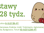 Dostawy na 28 tydz. :) 9-11.07.25 ŚR-PT