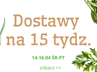 Dostawy na 15 tydzień :) 14-16 kwiecień