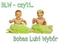 BLW – czyli Bobas Lubi Wybór (podstawy)