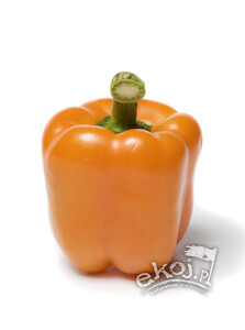 Papryka pomarańczowa BIO ok. 500g Gospodarstwo Kwiatkowscy