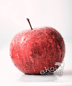 Jabłka BIO odmiana Florina 1kg