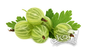 Agrest ekologiczny ok. 250g Polska