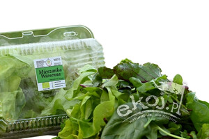 Mieszanka wiosenna BIO 230g Borowiak