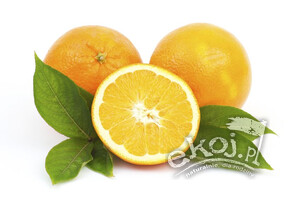 Pomarańcze BIO odmiana Navel ok. 1 kg Import