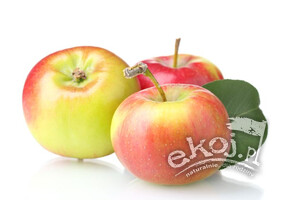Jabłka BIO odmiana Kortland ok. 1kg