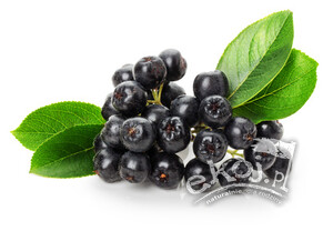 Aronia świeża EKO 250g