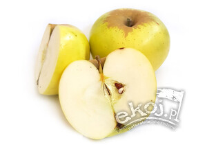 Jabłka BIO odmiana Cytrynówka 1kg