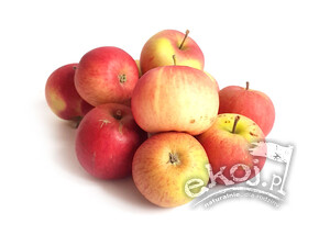 Jabłka BIO odmiana truskawkowa 1kg