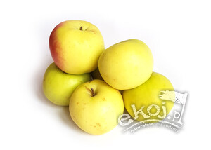Jabłka BIO odmiana Glogierówka 1kg