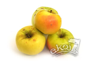 Jabłka BIO odmiana Ananas 1kg