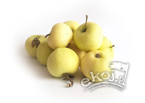 Jabłka papierówki EKO 1kg
