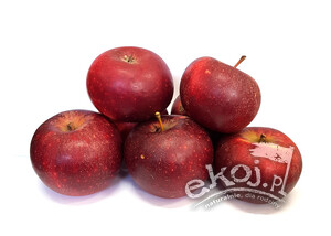 Jabłka BIO odmiana Welsa 1kg