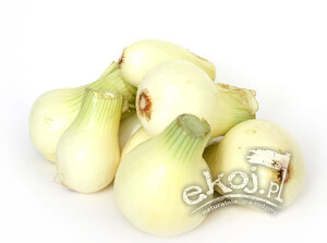 Cebula młoda żółta BIO ok. 500g Gospodarstwo Kwiatkowski