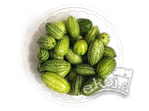 Ogórki meksykańskie BIO ok. 100g