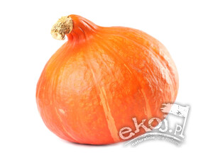 Dynia Hokkaido BIO 1 szt. Gospodarstwo Tupaj