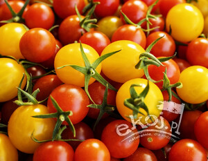 Pomidorki koktajlowe MIX BIO 500g Gospodarstwo Kwiatkowscy