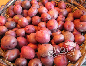 Ziemniaki młode RÓŻOWE BIO ok. 1kg Gospodarstwo Dobrodziej