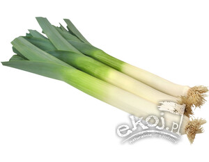 Por ekologiczny 1 szt. Gospodarstwo Tupaj