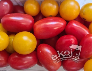 Pomidorki koktajlowe EKO 500g