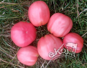 Pomidory malinowe SAKIEWKA BIO ok. 500g