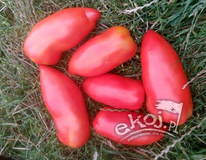 Pomidory podłużne Cornabel BIO 500g Gospodarstwo Kwiatkowscy