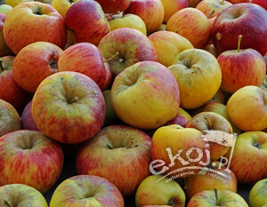 Jabłka BIO odmiana Topaz 1kg