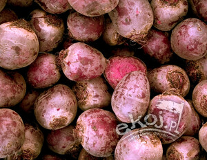 Buraki BIO 1 kg Gospodarstwo Kwiatkowscy