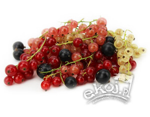 Porzeczki Mix BIO 300g Polska