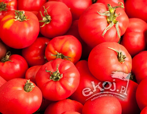 Pomidory na przetwory BIO 1 kg Gospodarstwo Kwiatkowscy