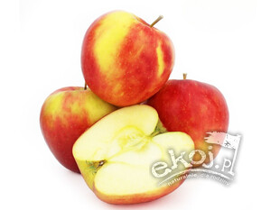 Jabłka BIO odmiana Honeycrisp 1kg Polska