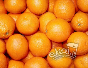 Pomarańcze BIO Navel opakowanie zbiorcze ok. 10 kg