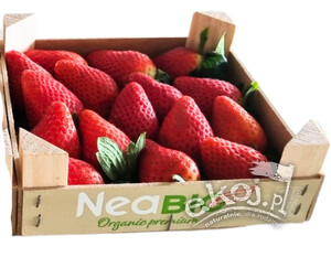 Truskawki świeże BIO ok. 600g Import