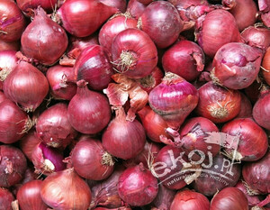 Cebula czerwona BIO opakowanie zbiorcze ok. 5 kg