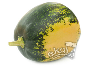 Dynia NA ŚWIEŻE PESTKI Gleisdorfer 1szt.