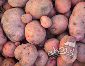 Ziemniaki CZERWONE Red Sonia BIO ok. 1kg Gospodarstwo Dobrodziej