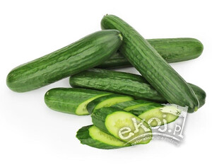 Ogórek polski długi BIO ok. 500g Polska
