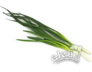 NIEAKTYWNY Szczypior z cebulką BIO pęczek