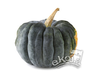 Dynia Futsu Black EKO 1 szt.