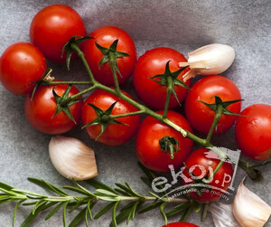 Pomidory cherry na gałązce BIO 250g Import