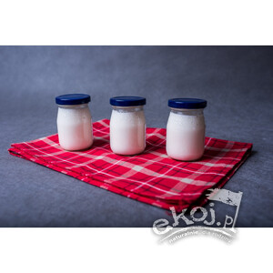 Jogurt kozi NATURALNY 175g Sery Łomnickie