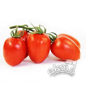 Pomidory Datterino BIO ok. 250g