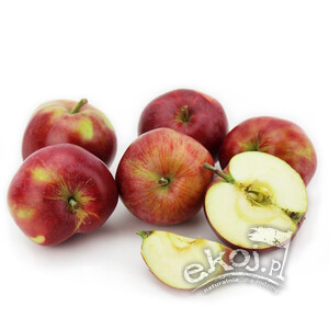 Jabłka BIO odmiana Klos 1kg