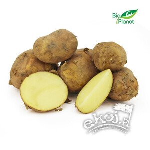 NIEAKTYWNY Ziemniaki białe MŁODE odmiana IRGA BIO 1kg Polska